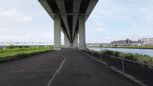 Сторінка Річки Токіо Аракава Відео — стокове відео