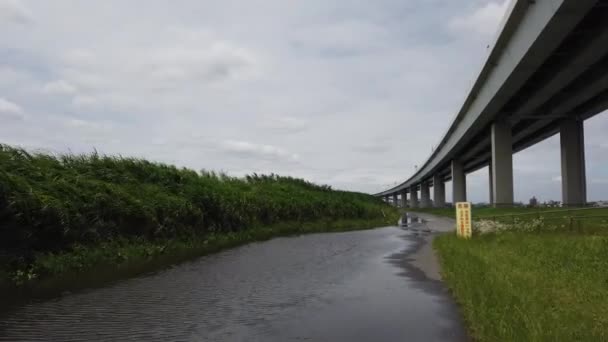 Tokio Arakawa Lecho Del Río Clip Vídeo — Vídeo de stock