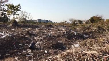 Tokyo Arakawa nehir yatağı, video klibi