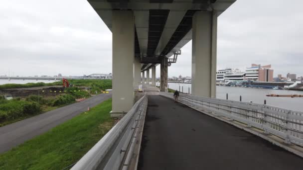 Tóquio Arakawa Leito Rio Vídeo Clip — Vídeo de Stock