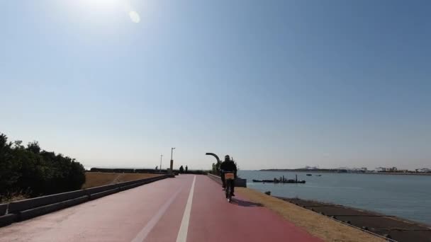 Дорога Арава Велосипедистов Япония Токио — стоковое видео