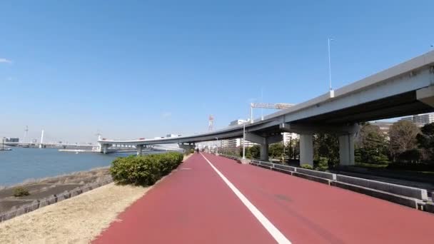 Arakawa Fietsweg Japan Tokio — Stockvideo