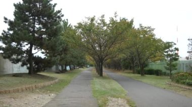 Japonya Tokyo Sonbaharı, video klibi