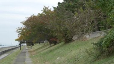 Japonya Tokyo Sonbaharı, video klibi