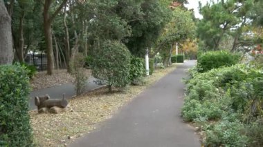 Japonya Tokyo Sonbaharı, video klibi