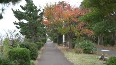 Japonya Tokyo Sonbaharı, video klibi