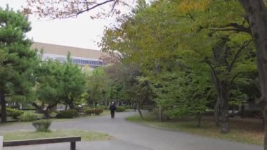 Japonya Tokyo Sonbaharı, video klibi