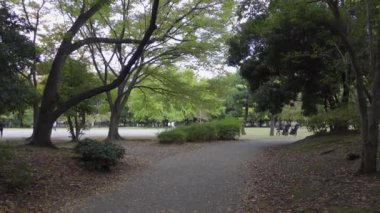 Japonya Tokyo Sonbaharı, video klibi