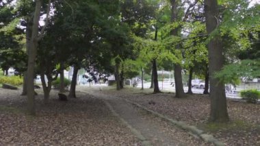 Japonya Tokyo Sonbaharı, video klibi