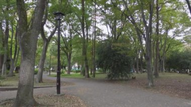 Japonya Tokyo Sonbaharı, video klibi