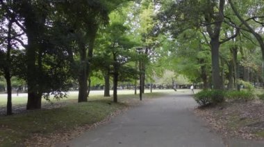 Japonya Tokyo Sonbaharı, video klibi