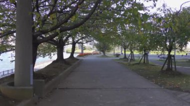 Japonya Tokyo Sonbaharı, video klibi