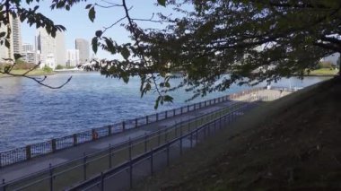 Japonya Tokyo Sonbaharı, video klibi