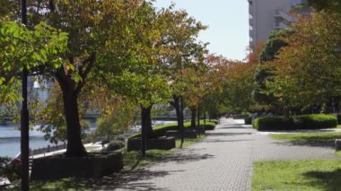 Japonya Tokyo Sonbaharı, video klibi