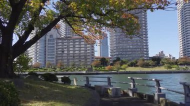 Japonya Tokyo Sonbaharı, video klibi