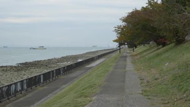 Japón Tokio Otoño Video Clip — Vídeo de stock