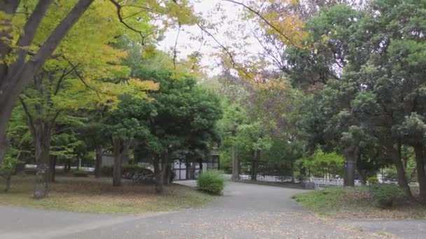 Japonský Tokijský Podzim Videoklip — Stock video