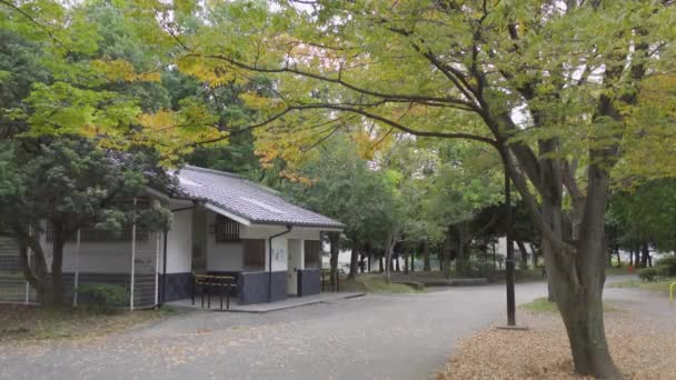 日本东京秋季 视频剪辑 — 图库视频影像