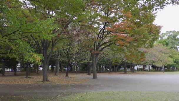 Japan Tokyo Autumn Video Clip — Stock Video