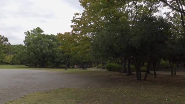 Japonský Tokijský Podzim Videoklip — Stock video