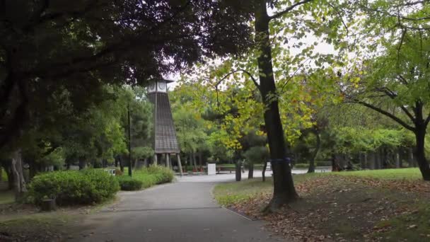 Japón Tokio Otoño Video Clip — Vídeos de Stock