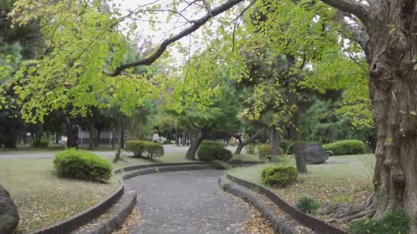 Japón Tokio Otoño Video Clip — Vídeos de Stock