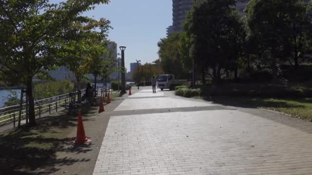 Japonya Tokyo Sonbaharı Video Klibi — Stok video