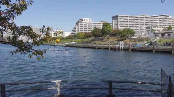 Ιαπωνία Τόκιο Φθινόπωρο Βίντεο Κλιπ — Αρχείο Βίντεο