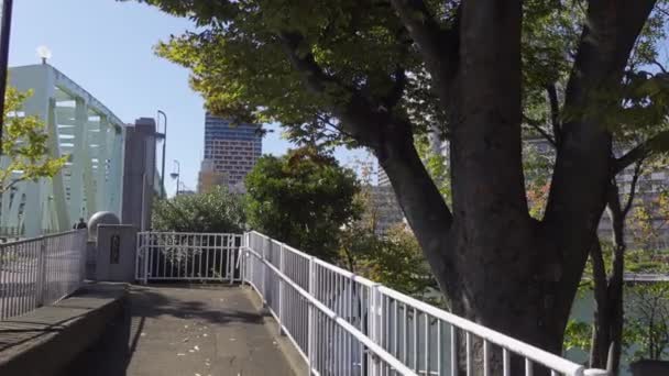 Japan Tokyo Höst Videoklipp — Stockvideo