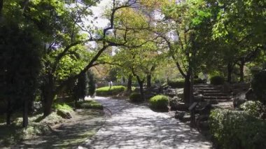 Japonya Tokyo Sonbaharı, video klibi