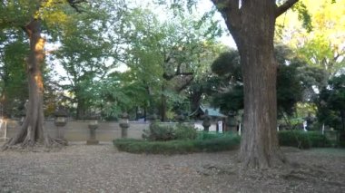 Japonya Tokyo Sonbaharı, video klibi