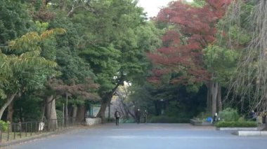 Japonya Tokyo Sonbaharı, video klibi