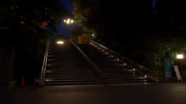 Japonya Tokyo Sonbaharı, video klibi