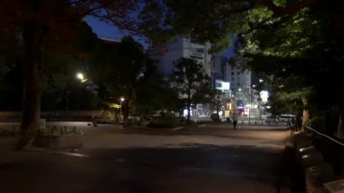 Japonya Tokyo Sonbaharı, video klibi
