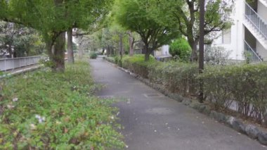 Japonya Tokyo Sonbaharı, video klibi