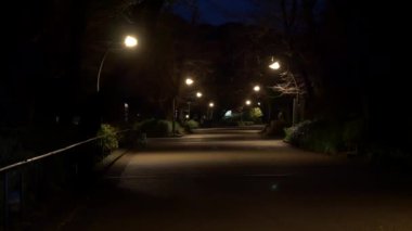 Japonya Tokyo Sonbaharı, video klibi