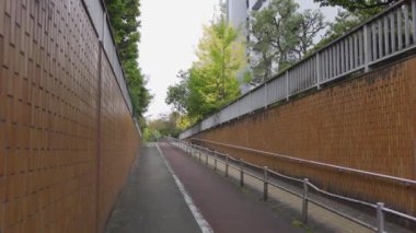Japonya Tokyo Sonbaharı, video klibi
