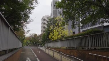 Japonya Tokyo Sonbaharı, video klibi