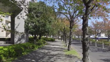 Japonya Tokyo Sonbaharı, video klibi