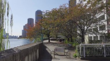 Japonya Tokyo Sonbaharı, video klibi