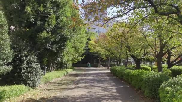 Giappone Tokyo Autunno Video Clip — Video Stock