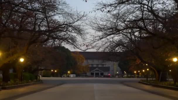 Japonský Tokijský Podzim Videoklip — Stock video