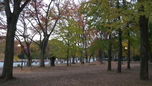 Japon Tokyo Automne, clip vidéo