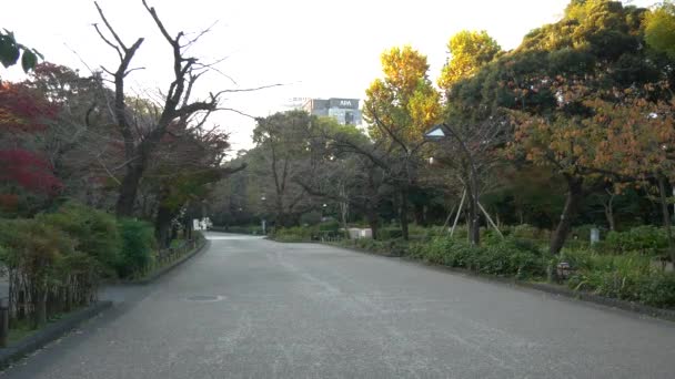 Japan Tokio Herfst Videoclip — Stockvideo