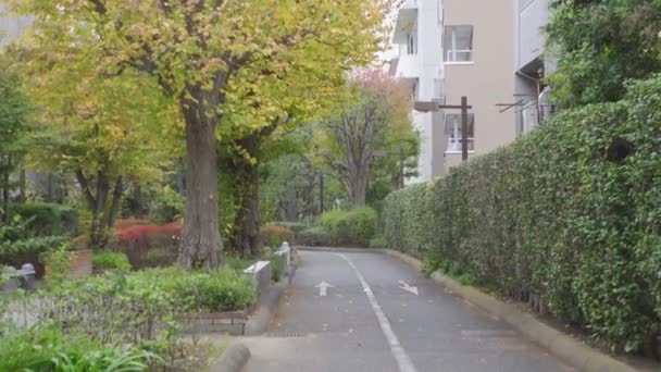 Giappone Tokyo Autunno Video Clip — Video Stock