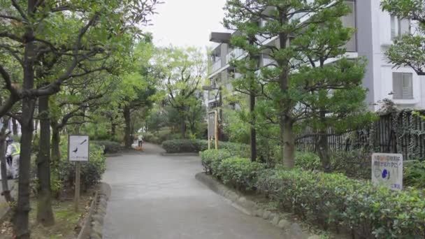 Ιαπωνία Τόκιο Φθινόπωρο Βίντεο Κλιπ — Αρχείο Βίντεο