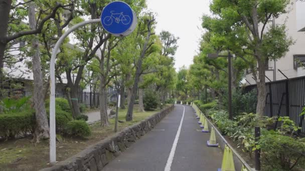 Japón Tokio Otoño Video Clip — Vídeo de stock