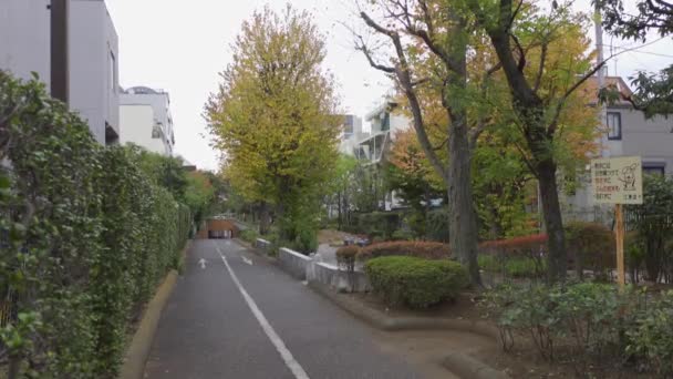 Japan Tokyo Höst Videoklipp — Stockvideo