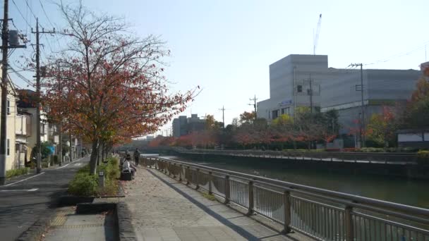 Japan Tokyo Autumn Video Clip — Stock Video