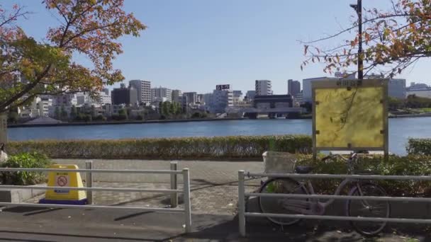 Japón Tokio Otoño Video Clip — Vídeos de Stock